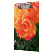 Orange Rose Blume Klemmbrett (Links)