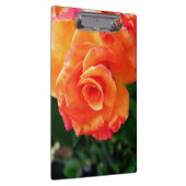 Orange Rose Blume Klemmbrett (Rechts)