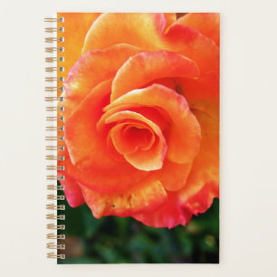 Orange Rose Blume Planer