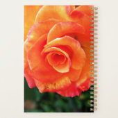 Orange Rose Blume Planer (Rückseite)