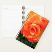 Orange Rose Blume Planer (Anzeige)