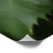 Orange Rose Blume Poster (Ecke)