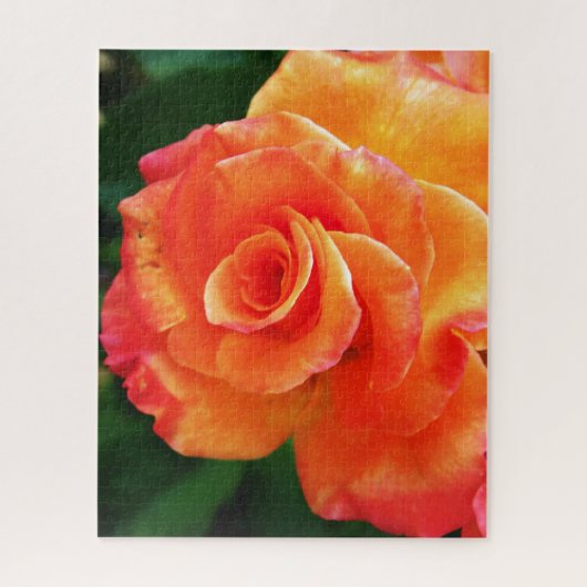 Orange Rose Blume Puzzle (Vertikal)