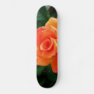 Orange Rose Blume Skateboard