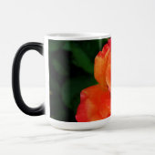 Orange Rose Blume Verwandlungstasse (Links)
