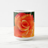 Orange Rose Blume Verwandlungstasse (Zentrum)