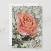 Orange Rose Bridal Dusche Einladung (Rückseite)