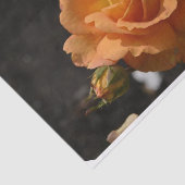 Orange Rose Bush Seidenpapier (Ausschnitt)