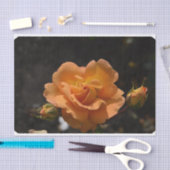 Orange Rose Bush Seidenpapier (Handwerk)