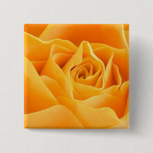 Orange Rose Button