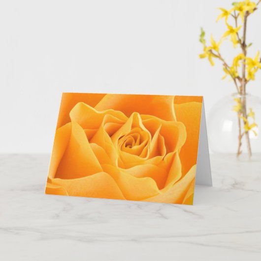 Orange Rose Card Karte (Gelbe Blume)