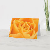 Orange Rose Card Karte (Vorderseite)