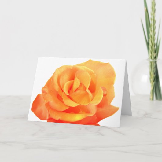 Orange Rose Card Karte (Vorderseite)