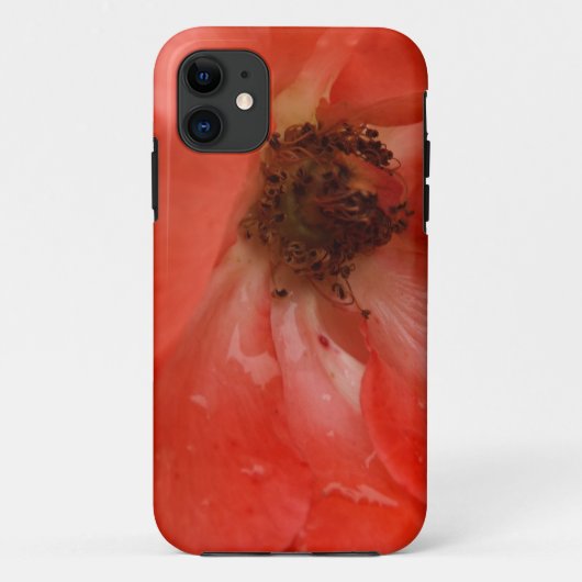 Orange Rose Case-Mate iPhone Hülle (Rückseite)