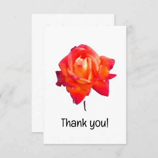 Orange Rose Dankeskarte (Vorne/Hinten)