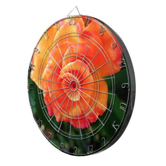 Orange Rose Dartscheibe (Vorderseite rechts)