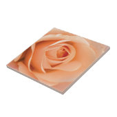Orange Rose Fliese (Seite)