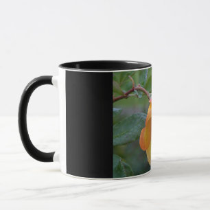 Orange Rose Floral 2 Tasse