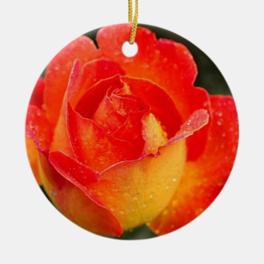 Orange Rose Floral Keramik Ornament (Vorne)