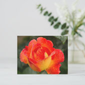 Orange Rose Floral Postkarte (Stehend Vorderseite)