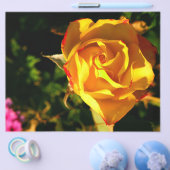 Orange Rose Flyer (Einzeln)