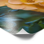 Orange Rose Fotodruck (Ecke)