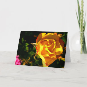 Orange Rose Fotografie Feiertagskarte