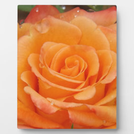 Orange Rose Fotoplatte