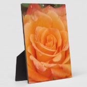 Orange Rose Fotoplatte (Seite)