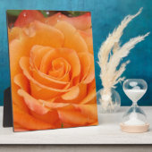 Orange Rose Fotoplatte (Seite)