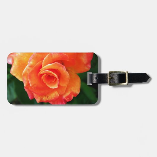 Orange Rose Gepäckanhänger (Vorderseite horizontal)