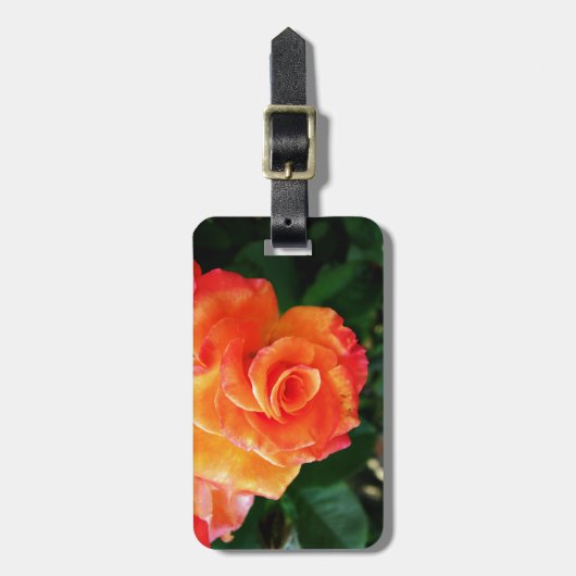 Orange Rose Gepäckanhänger (Vorderseite vertikal)