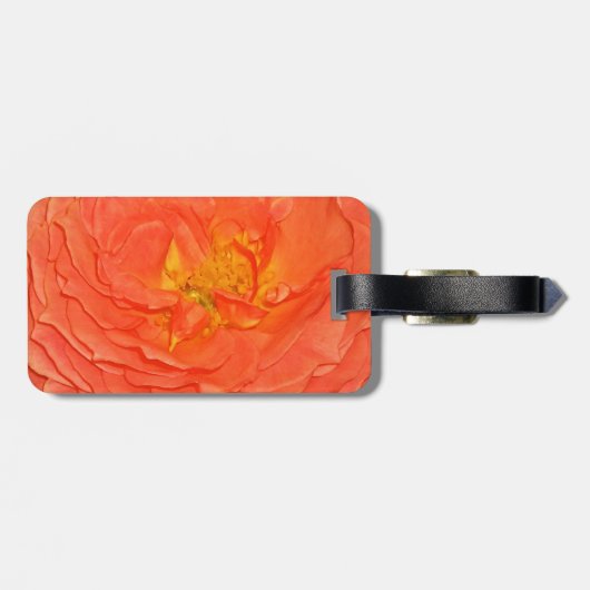 Orange Rose Gepäckmarke Gepäckanhänger (Rückseite horizontal)