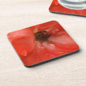 Orange Rose Getränkeuntersetzer (Linke Seite)