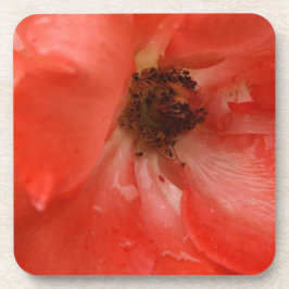 Orange Rose Getränkeuntersetzer