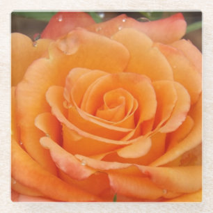 Orange Rose Glass Untersetzer
