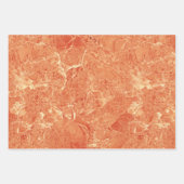 Orange Rose Gold Rote Marmortextur Geschenkpapier Set (Vorderseite 2)