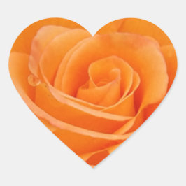 Orange Rose Herz-Aufkleber