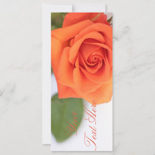 Orange Rose Hinzufügen einer Textflachkarte