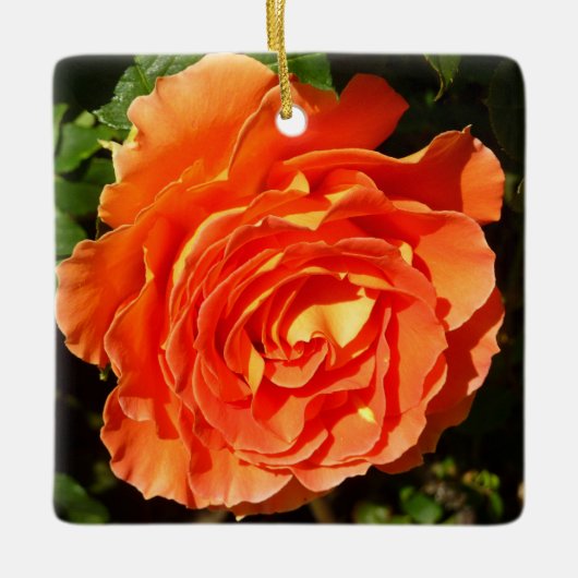 Orange Rose I Hübsch Keramikornament (Vorderseite)