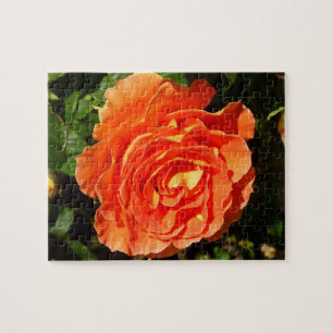Orange Rose I Hübsch Puzzle
