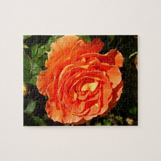 Orange Rose I Hübsch Puzzle (Horizontal)
