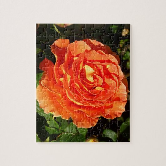 Orange Rose I Hübsch Puzzle (Vertikal)