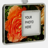 Orange Rose I Hübsch Rahmen-Ornament Silber (Rechts)