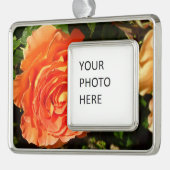 Orange Rose I Hübsch Rahmen-Ornament Silber (Links)