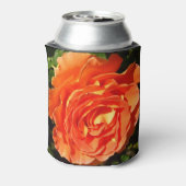 Orange Rose I Hübsche Blumen Dosenkühler (Kanne Rückseite)