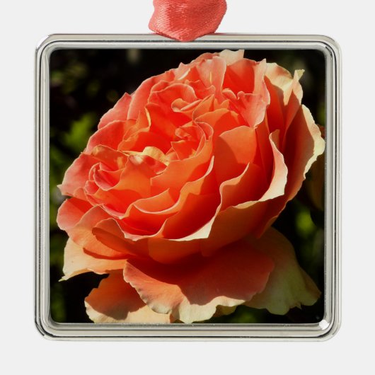 Orange Rose II Beautiful Floral Ornament Aus Metall (Vorne)