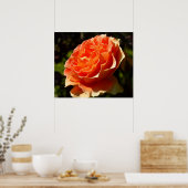 Orange Rose II Beautiful Floral Poster (Küche)