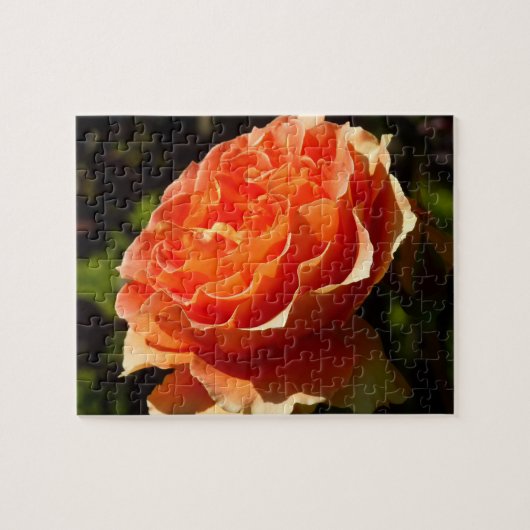 Orange Rose II Beautiful Floral Puzzle (Horizontal)
