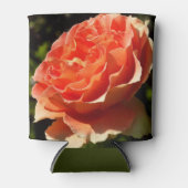 Orange Rose II Dosenkühler (Vorderseite)